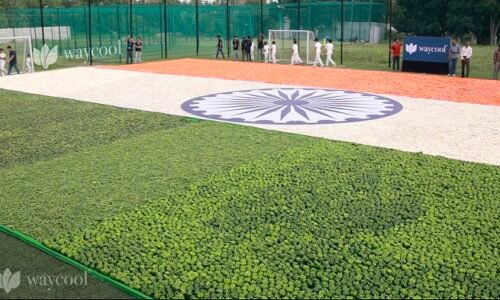WayCool creates 7500+ sqft tricolor with fresh vegetables