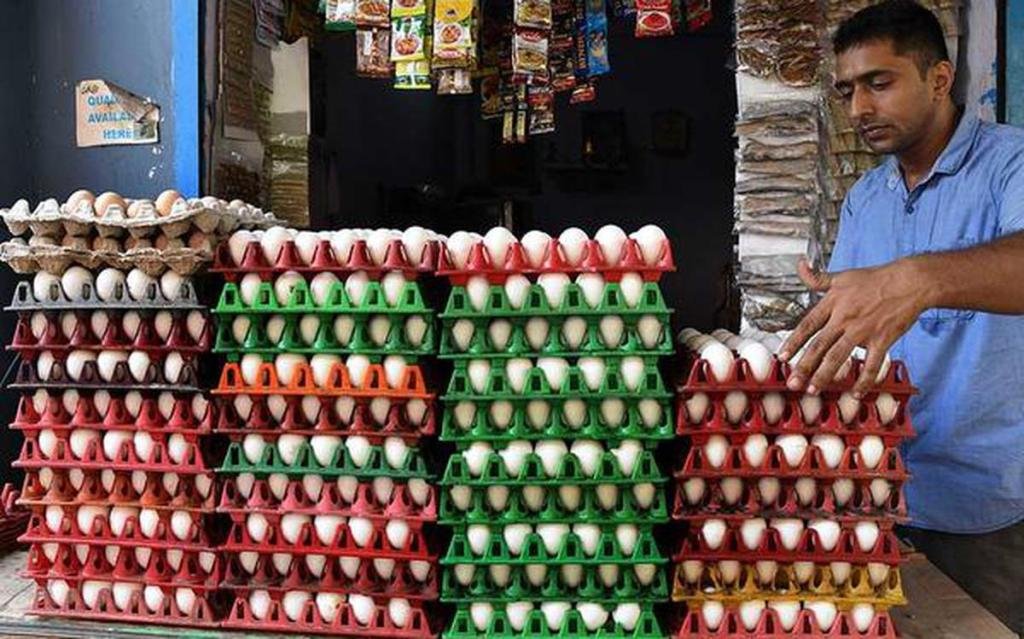 After Corona Pandemic Egg consumption has increased in India
