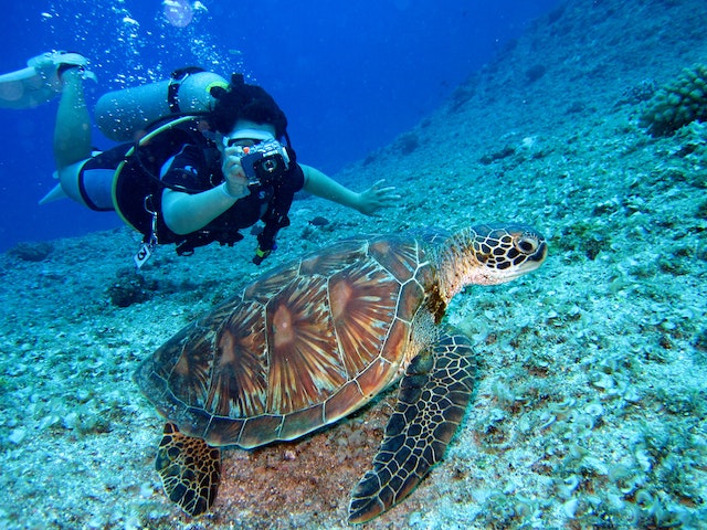 Scuba diving is an adventurous travel activity 