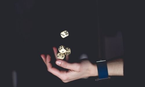 A Close Analysis of Online Casino Culture