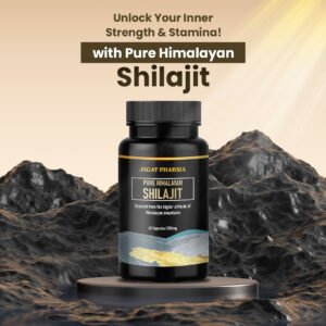 Jagat Pharma Launches Pure Himalayan Shilajit Capsules for Enhanced Passion Drive, Immunity, and Stress Relief