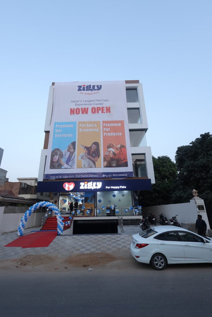 Pet care brand Zigly enters Jaipur; unveils first experience centre in Vaishali Nagar