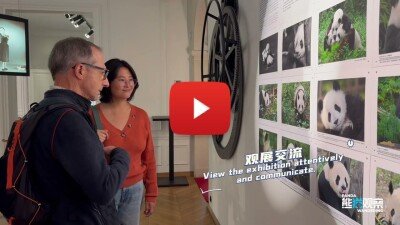 “Panda’s World” Photography Exhibition of Giant Pandas Grandly Opens in Paris, France