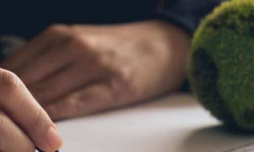 5 Tips for Creating a Green Image for Your Company